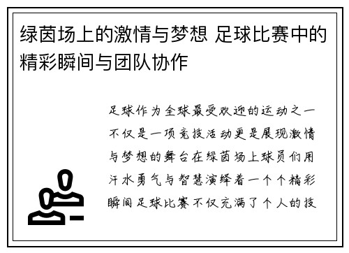 绿茵场上的激情与梦想 足球比赛中的精彩瞬间与团队协作